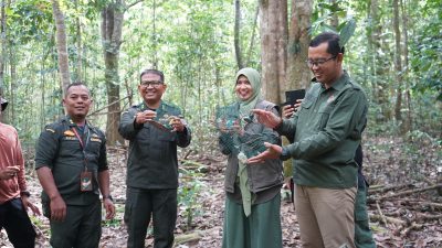 Karantina Jambi Gagalkan Pengiriman Burung Tanpa Dokumen